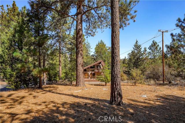 Wrightwood, CA 92397,6065 Cardinal Road