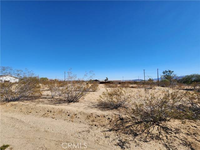 Joshua Tree, CA 92252,50 Avenida