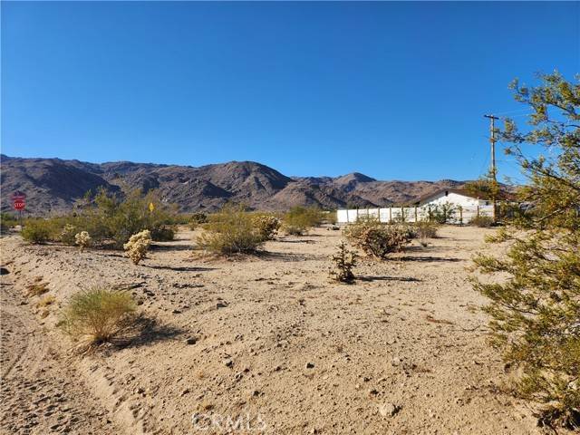 29 Palms, CA 92277,3 Juniper