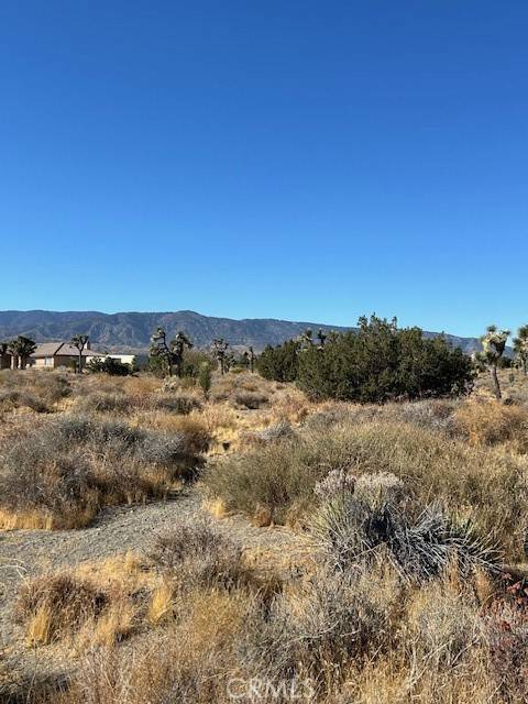 Pinon Hills, CA 92372,0 Beekley