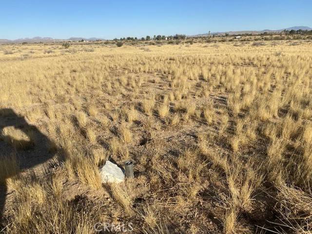 Hinkley, CA 92311,0 Serra