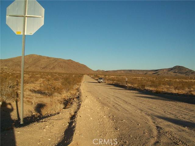 Lucerne Valley, CA 92356,0 Smoke Bush