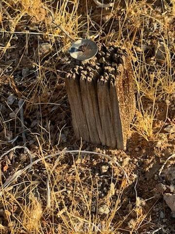 Lucerne Valley, CA 92356,0 Smoke Bush