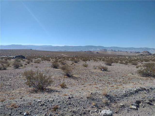 Lucerne Valley, CA 92356,10 Smoke Bush