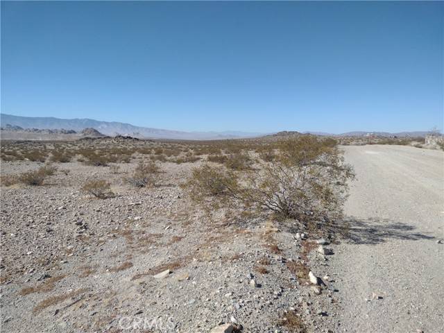 Lucerne Valley, CA 92356,10 Smoke Bush