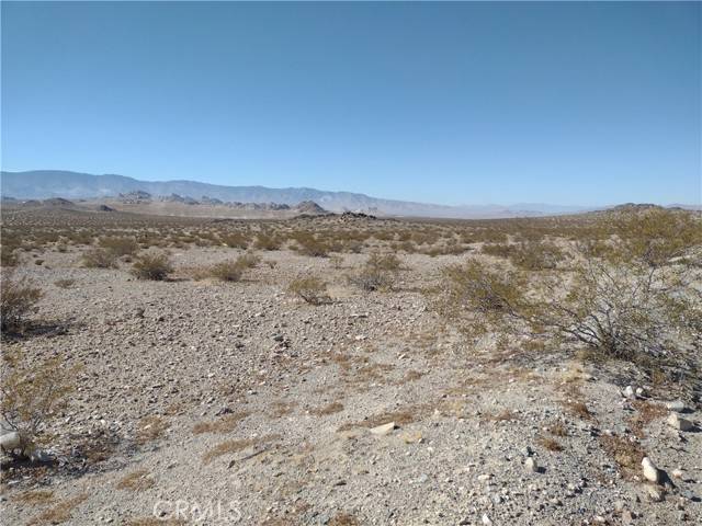 Lucerne Valley, CA 92356,10 Smoke Bush