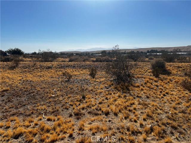 Oro Grande, CA 92368,0 Sunflower