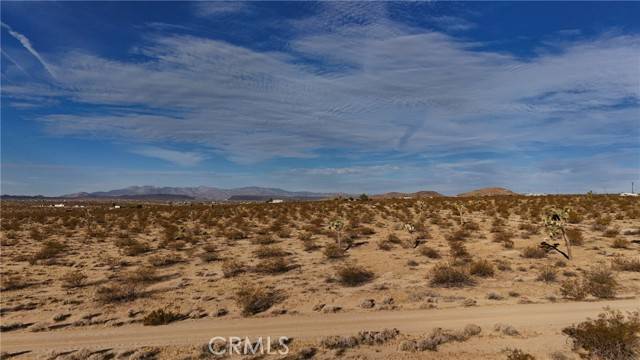 Joshua Tree, CA 92252,718 Candela