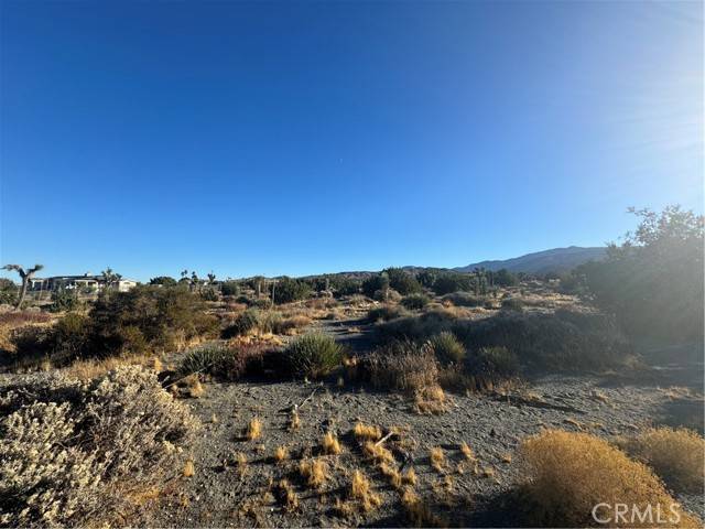 Pinon Hills, CA 92372,0 Phelan