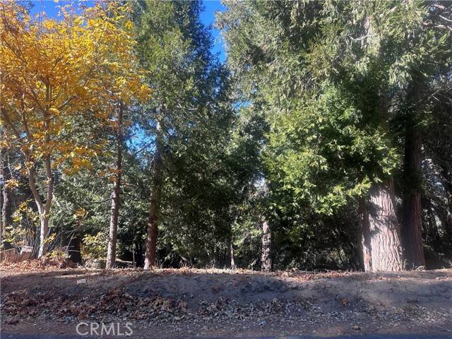 Crestline, CA 92325,0 Chillon