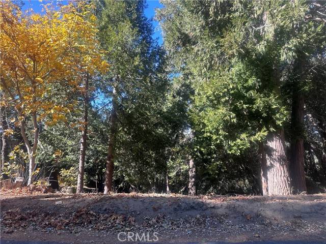 Crestline, CA 92325,0 Chillon