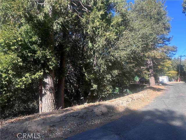 Crestline, CA 92325,0 Chillon