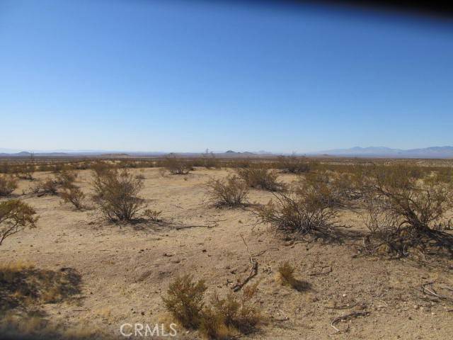 California City, CA 93505,4 BROWN