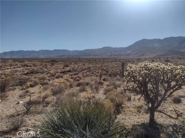 Lucerne Valley, CA 92356,40 Powerline