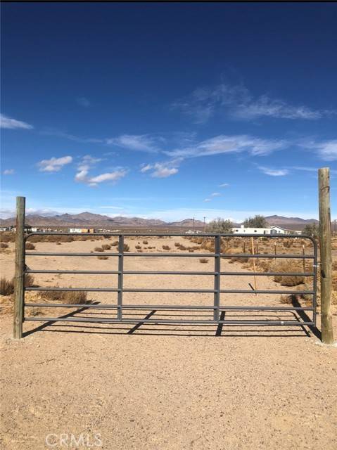Lucerne Valley, CA 92356,0 Squaw Bush