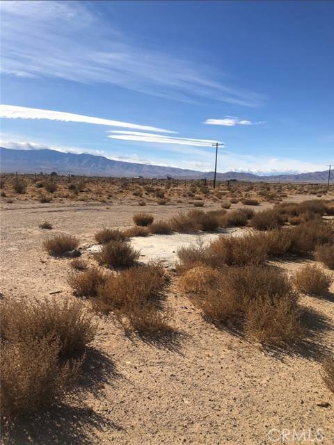 Lucerne Valley, CA 92356,0 Squaw Bush