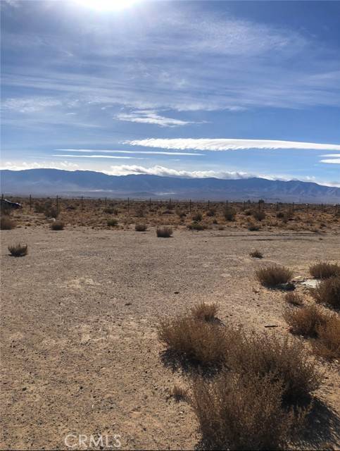 Lucerne Valley, CA 92356,0 Squaw Bush