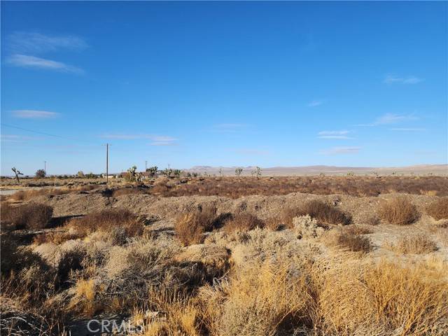 Adelanto, CA 92301,10000 El Mirage