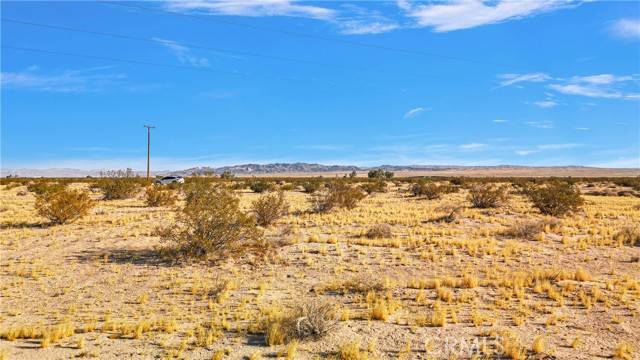 Newberry Springs, CA 92365,0 Troy Rd.