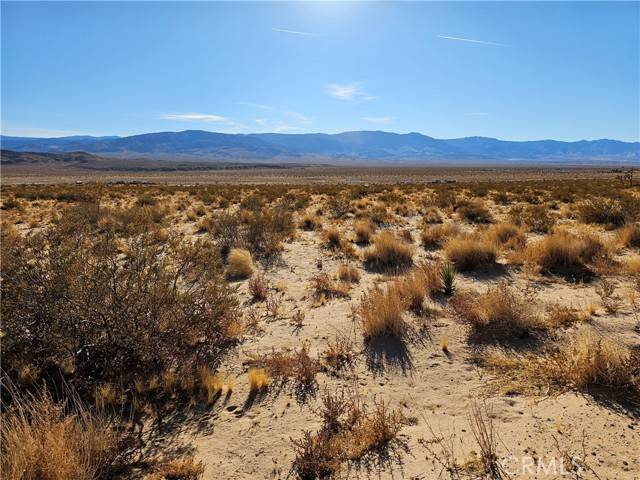 Lucerne Valley, CA 92356,400 East End