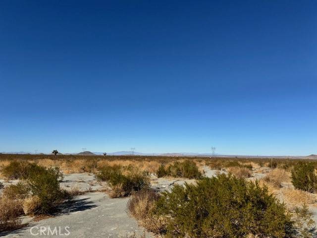 Pinon Hills, CA 92372,0 Wintergreen