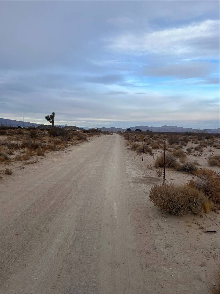 Lucerne Valley, CA 92356,1 Rodeo