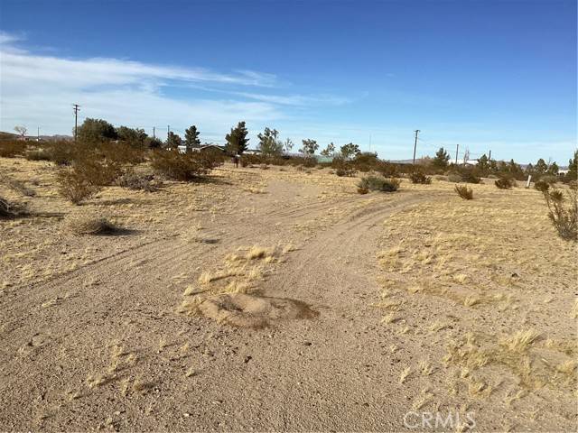 Newberry Springs, CA 92365,42979 Mandrill