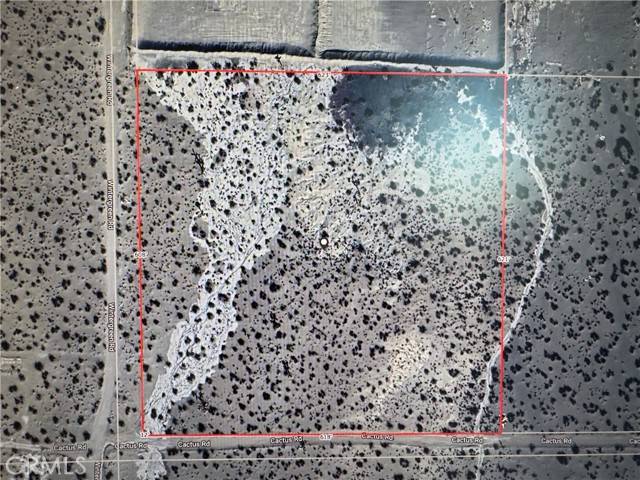 Phelan, CA 92371,0 Wintergreen