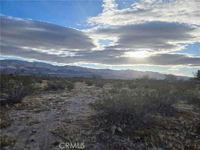 Lucerne Valley, CA 92356,5 Colby