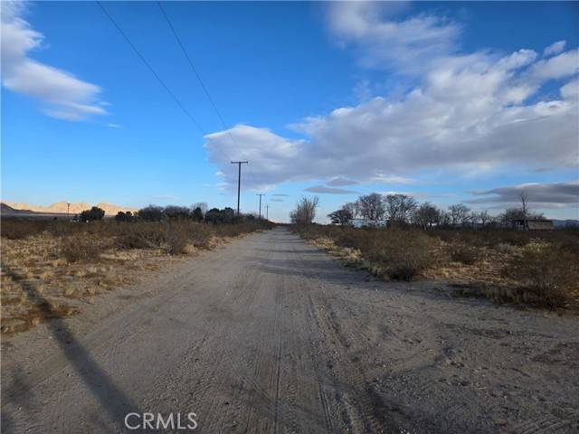 Lucerne Valley, CA 92356,5 Colby