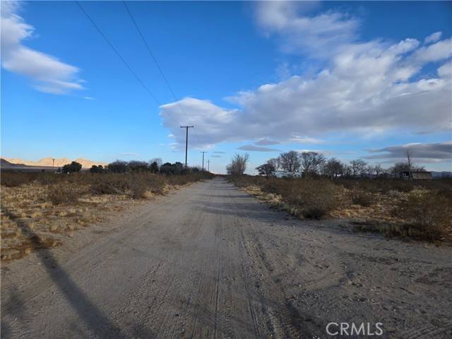 Lucerne Valley, CA 92356,5 Colby