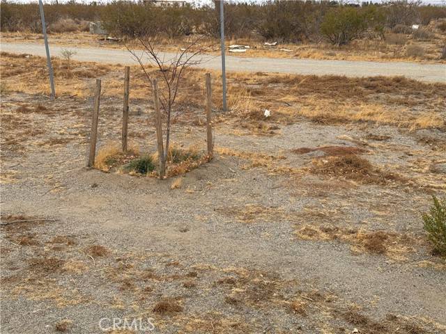 Phelan, CA 92371,3185 Olivera