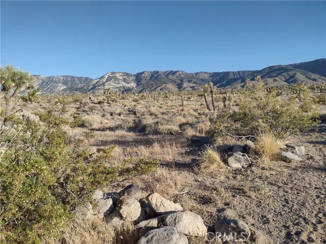 Lucerne Valley, CA 92356,5 Tate