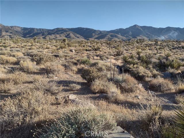 Lucerne Valley, CA 92356,5 Tate