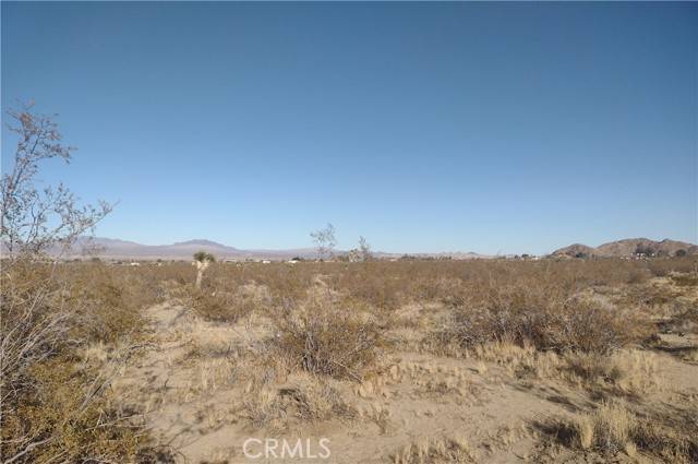 Lucerne Valley, CA 92356,10 Banta