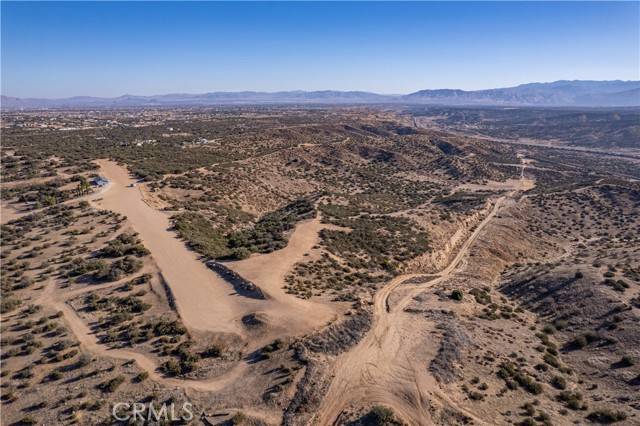 Hesperia, CA 92344,0 Bellflower