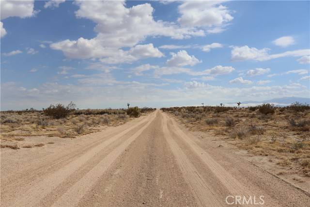 Adelanto, CA 92301,0 Verbena