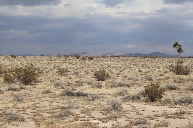 Adelanto, CA 92301,0 Verbena