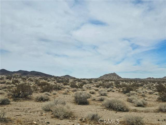 Lucerne Valley, CA 92356,402 Rose Ln.