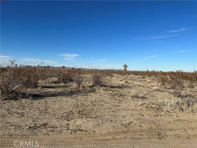 Victorville, CA 92394,8 Desert Flower