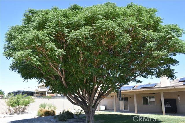 Helendale, CA 92342,26709 Lakeview Drive
