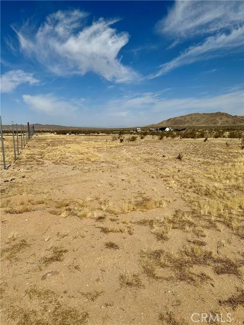Helendale, CA 92342,0 Mustang