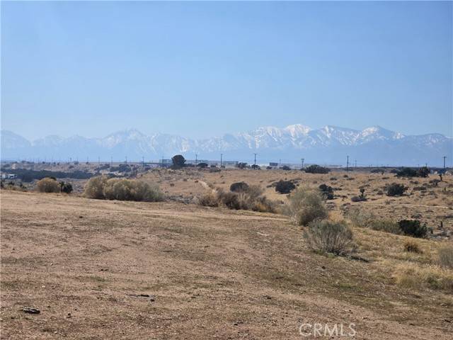 Oak Hills, CA 92344,90169 Palm