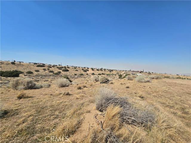 Oak Hills, CA 92344,90169 Palm