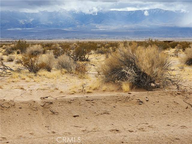 Lucerne Valley, CA 92356,501 Lantana
