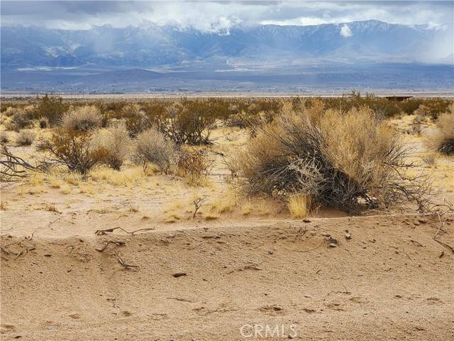 Lucerne Valley, CA 92356,501 Lantana