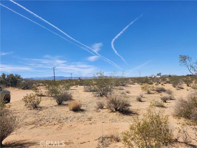Landers, CA 92285,0 Sespe