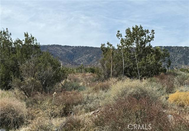 Llano, CA 93544,0 E Avenue Z