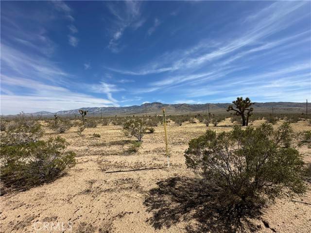 Apple Valley, CA 92308,13 Canyon View