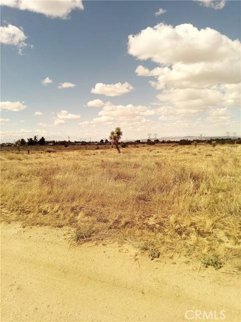 Phelan, CA 92371,14 Avenal